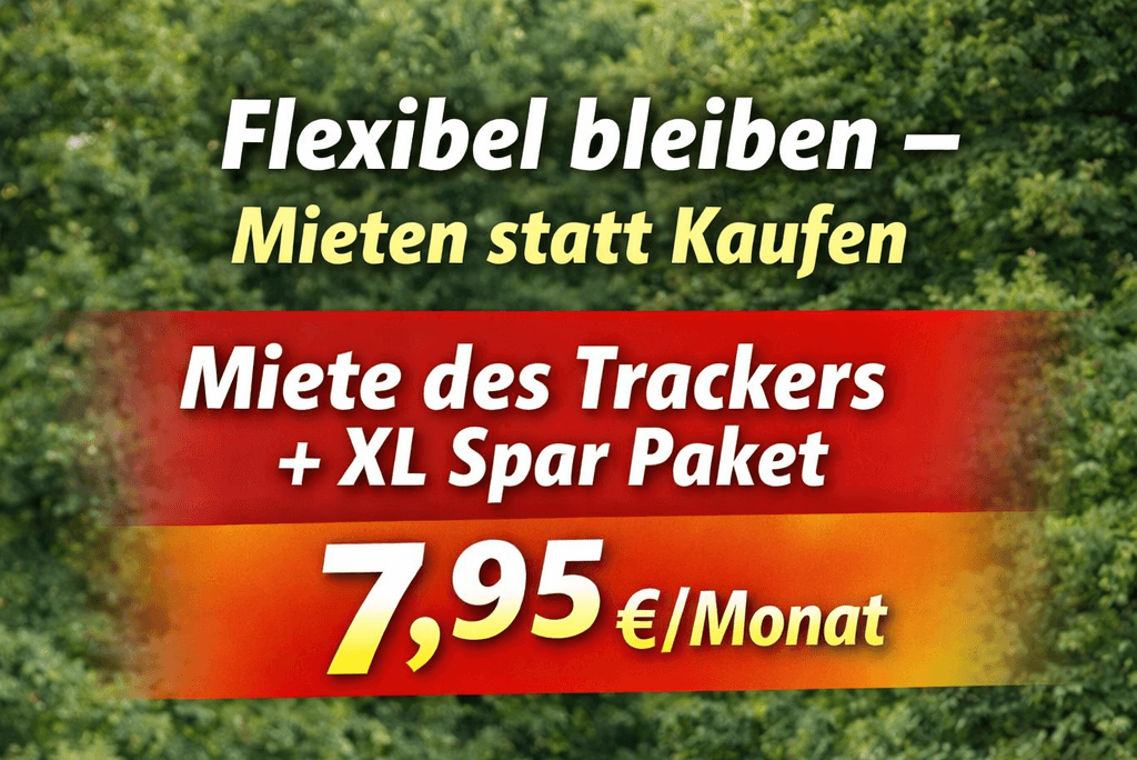 mieten